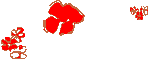 blüte